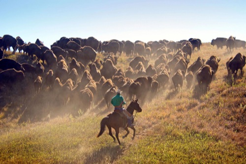 south-dakota-parks
