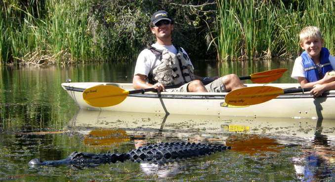 Kayaking in the Everglades, Courtesy Everglades Area Tours