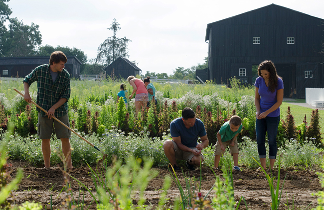 In addition to providing fresh produce for The Trustee’s Table, the farm at Shaker village shares lessons in sustainability with guests of all ages.