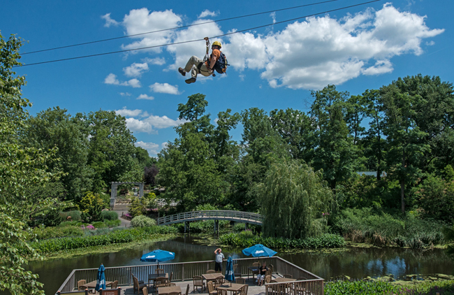 The Creation Museum Zip Line and Canopy Tour Adventure boasts over two and a half miles of zip lines.