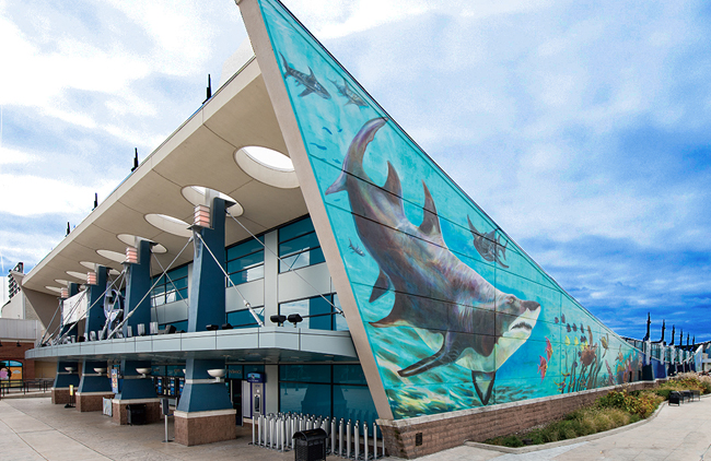 Newport Aquarium is a 100,000- square-foot facility featuring sixty exhibits and five specially-designed underwater tunnels.