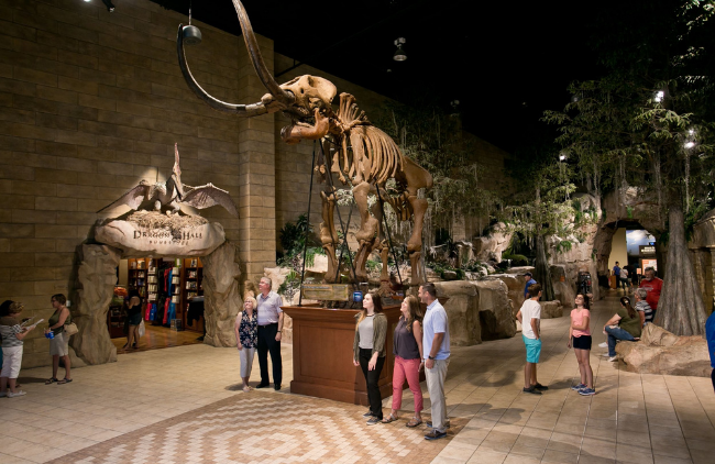 A mastodon at the Creation Museum