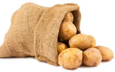 Hot Potato Pictures Group Game