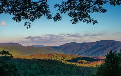 Tennessee Smokies