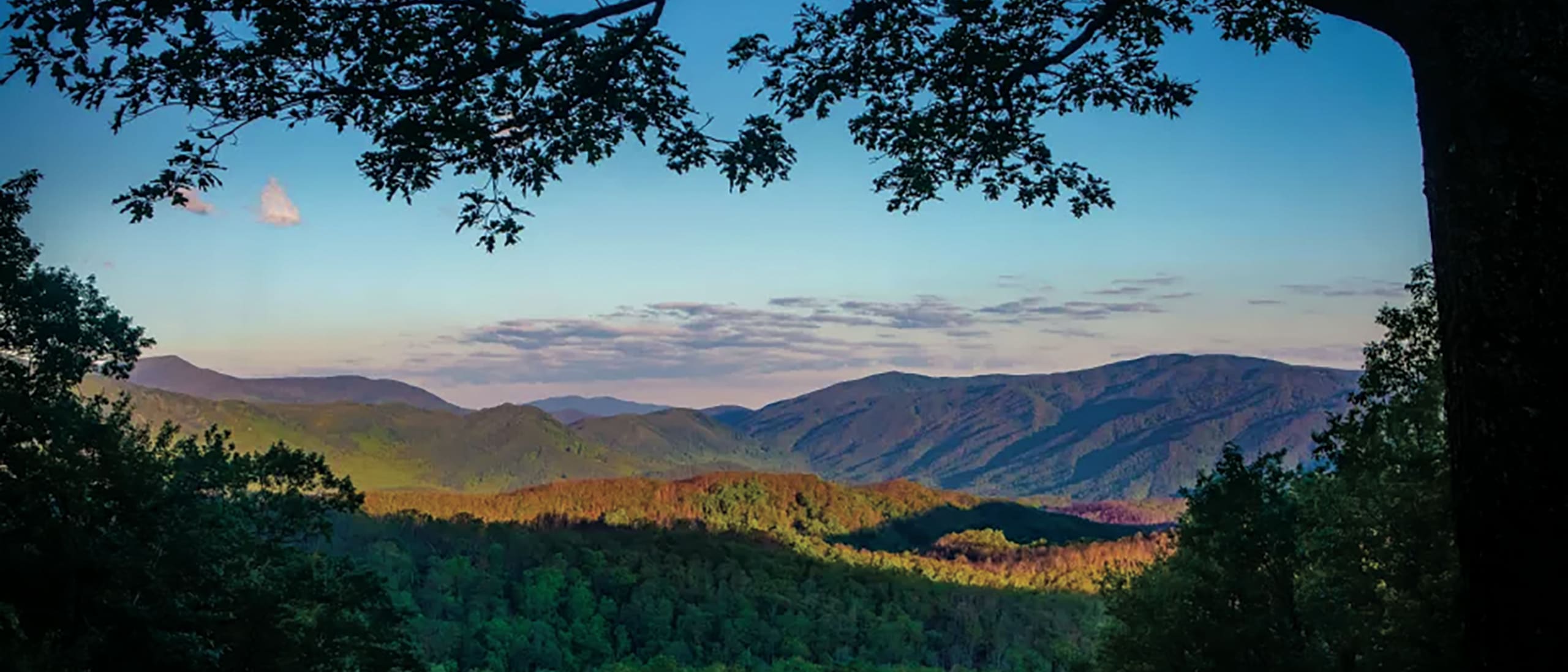 Tennessee-Smokies-2026